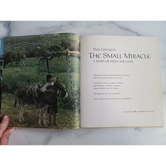 The Small Miracle Hardcover - Picture 3 of 10